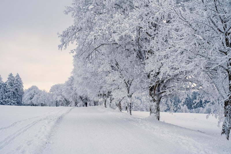 Adventure in snowy mountains